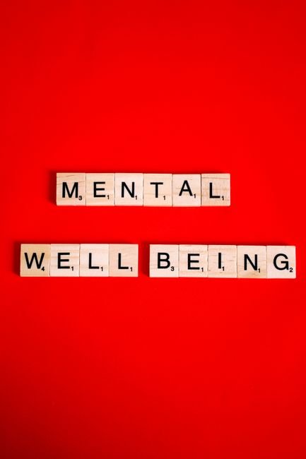 Idol mental health welfare policy - K-POP